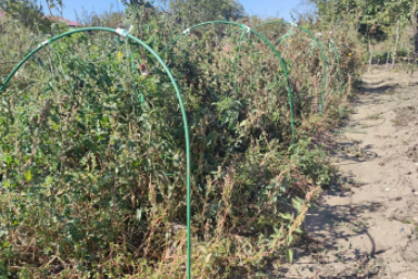 Тематическое фото ИА PrimaMedia