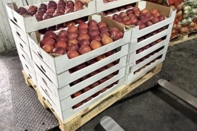 . пресс-служба управления Россельхознадзора по Красноярскому краю