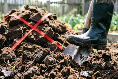 5 основных ошибок в апреле на даче, которые делают даже опытные: важная шпаргалка на месяц
