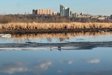 До +10°С потеплеет в Иркутске 8 апреля