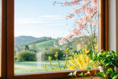 Разводы исчезают сами: 5 приемов для чистых окон — без химозы и газет