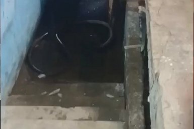 Подвал Народный Фронт Забайкалья