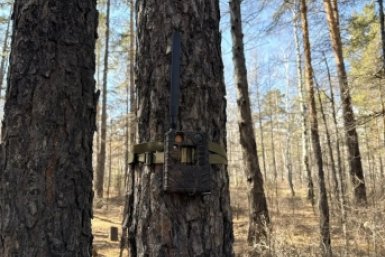 6062336.jpeg?02f19965620256a2c986d6334952c0fd