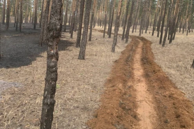 В Улан-Удэ запретили вход в леса до 21 апреля