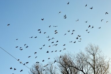 Температура до +6 градусов ожидается в Чите 8 апреля