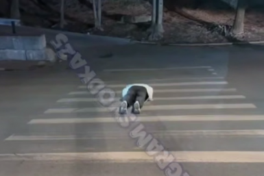 "Парень на дороге лежит": лютый инцидент на улице Владивостока – видео