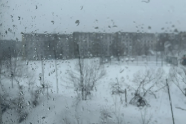 Новость дня