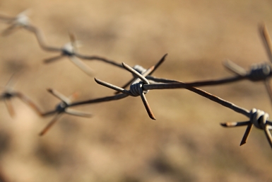 Экс-глава отдела Минлеса Приангарья получила 9 лет колонии и лишилась авто за взятки