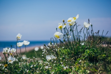 До +18 °C: Приморье ждёт настоящее весеннее потепление