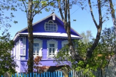 За какие кактусы и другие растения россиян могут посадить в тюрьму