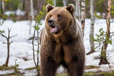 Новость дня