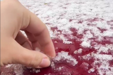 На Ставрополье ввели режим повышенной готовности из-за заморозков