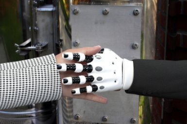 Тематическая иллюстрация https://pxhere.com/