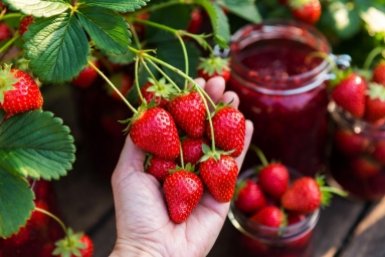 1 бабушкин секрет спас клубнику от гнили — теперь плодоносит как "сумасшедшая", варенья "море", ем круглый год