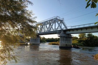В регионе ондатры кусают детей и охраняют плотину