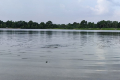 Подростка растерзал крокодил, пока товарищи смотрели в ужасе