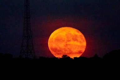 До Гагарина вам как до Луны пешком, если не отвечаете на 6 вопросов про космос - ТЕСТ