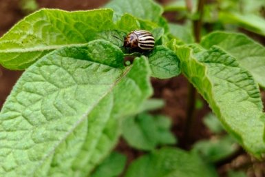 Тематическое фото ИА KrasnodarMedia