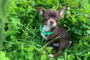 Тематическое фото ИА Stavropol.Media