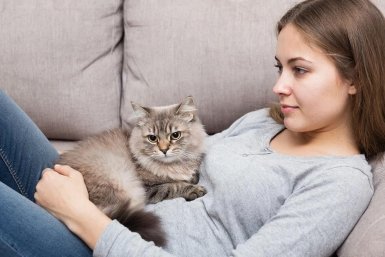 Короли верности: эти 5 пород кошек преданнее, чем Сиба-ину из Хатико