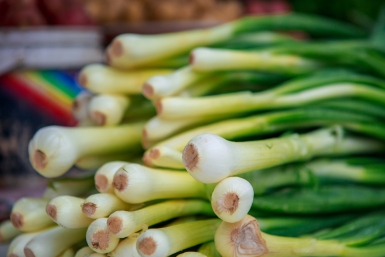 Лук пойдёт в рост, а не в стрелку – дачники раскрыли 1 хитрость перед посадкой: потребуется батарея