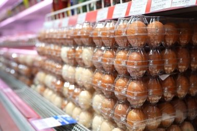 Фото Правительство Камчатского края