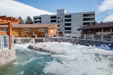 Новый комплекс для водоплавающих птиц открыли в Сахалинском зоопарке пресс-служба Сахалинского зооботанического парка