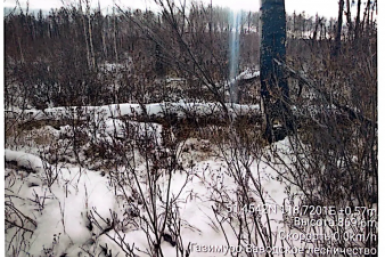 6065988.png?d500cf4321d792297686868bd3a3c74b