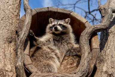 Вы настоящий натуралист, если ответите на 9/9 - ТЕСТ по биологии