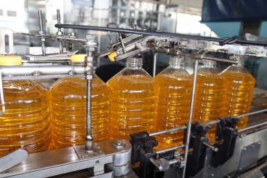 Тематическое фото Евгения Клименко, ИА UssurMedia