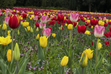 Горячий Ключ вошел в ТОП популярных малых городов для отдыха в апреле