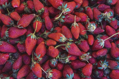 Что необычного можно найти на ярмарках Москвы