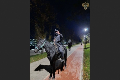 В Кисловодске осудили всадника, избившего плеткой семейную пару