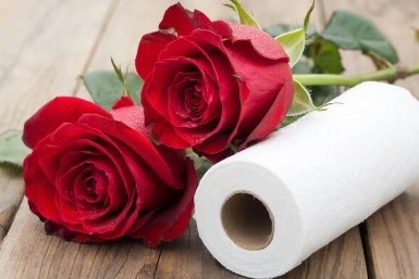 Беру туалетную бумагу — и даже сухая палка сразу пускает корни: черенки прут в рост "как миленькие"