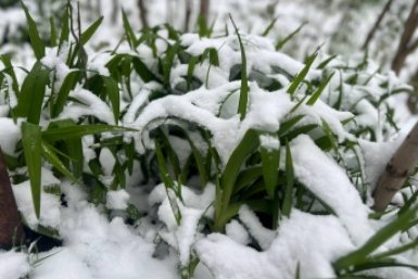 В Крыму предупредили о снегопадах и гололедице