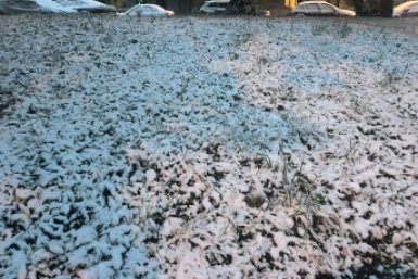 Москва ИА StolicaMedia