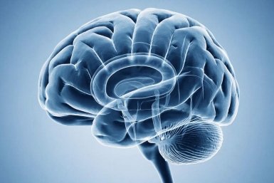 Ваш багаж знаний нищает, если не осилите даже 5 из 8 легких вопросов - тест по географии