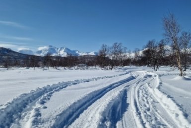 Могли замерзнуть: группа туристов без палатки и спутникового телефона пропала на Камчатке
