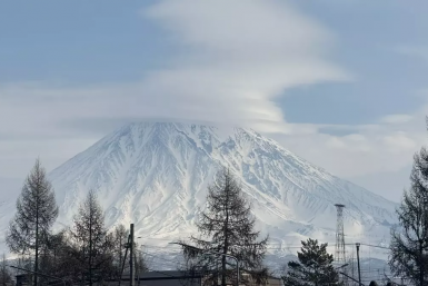 Новость дня