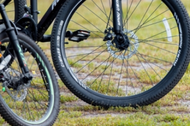 Тематическое фото Илья Аверьянов, ИА PrimaMedia