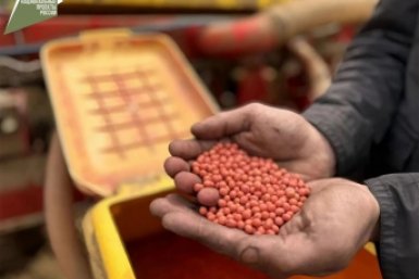 Новый проект по господдержке селекции сельхозкультур стартовал в Хабаровском крае