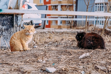 Без дождей, но с сюрпризами: какая погода ждёт Приморье в начале следующей недели