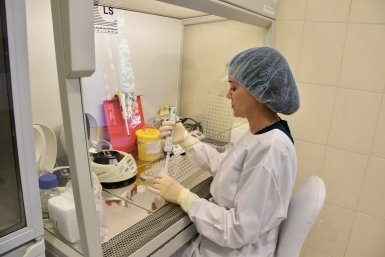 Кишечную палочку нашли в пирожном "Прага" приморского производителя