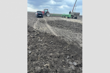 Тематическое фото канал MAX (12+) Марии Костюк