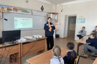 Специалисты Хабаровских электросетей проводят уроки электробезопасности для школьников Предоставлено пресс-службой АО &quotДРСК&quot