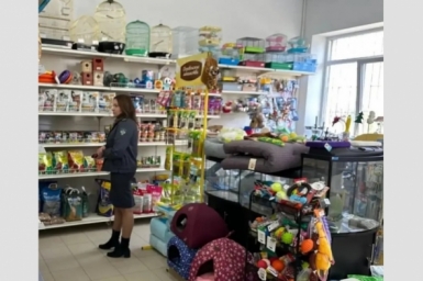 В ветклинике и зоомагазине Крыма выявили контрафактные препараты