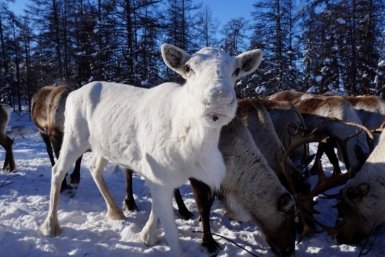  Пресс-служба УМВД России по Магаданской области