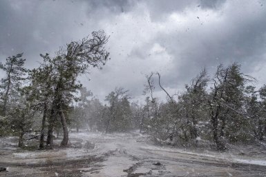 Климат сходит с ума: как экстремальная погода бьёт по садам и полям России