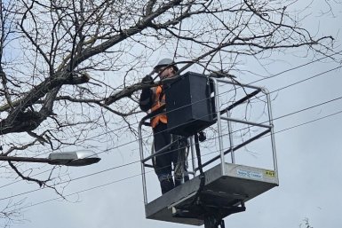 В Севастополе на Симферопольском шоссе обрезают деревья