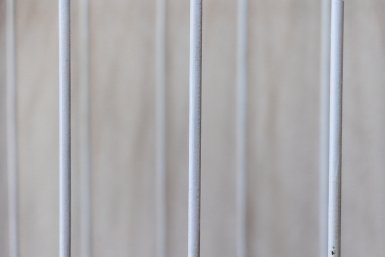 решетка, тюрьма, клетка Евгений  Кулешов, ИА PrimaMedia.ru